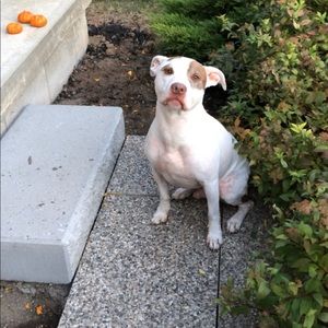 Meet your Posher, Armani